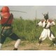 Jiraiya O Incrível Ninja (Digital)